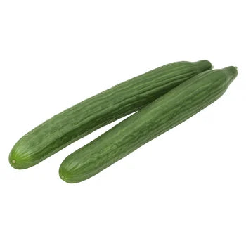 English Cucumber Large  12 in Case