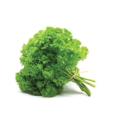 Curly Parsley 5 Dozen Carton