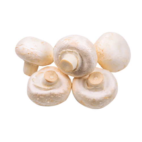 Fresh Mushroom 5lb pack