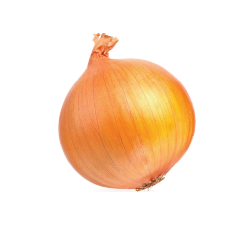 Cooking Onion Large size  50 lb Bag