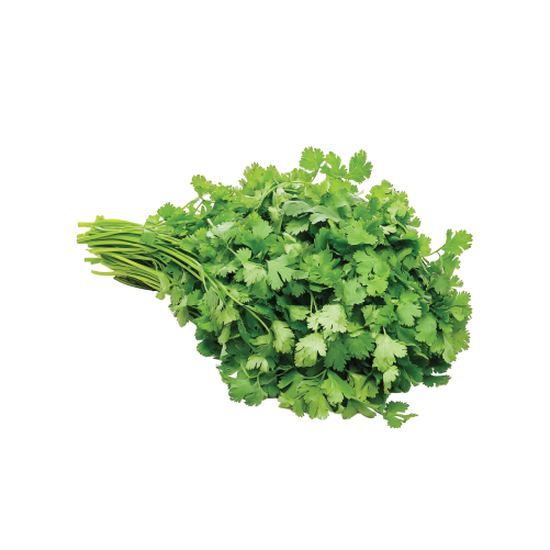 Coriander 2 Dozen Carton
