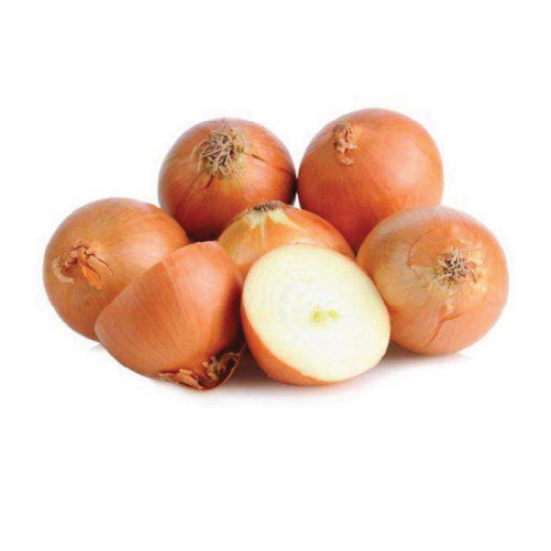 Cooking Onion Medium size 24 x 2lb bag in a carton