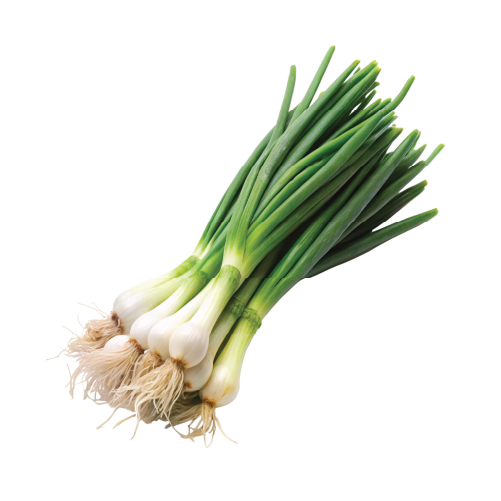 Green Onion 48 Size Carton