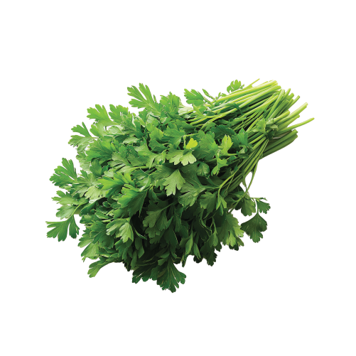 Plain Parsley 12  bunches in bag