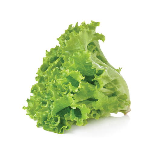 Green Leaf Lettuce 24's Carton