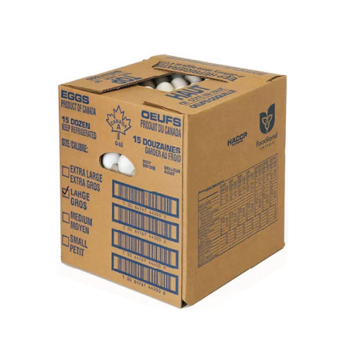 Egg X large size 180 in Carton