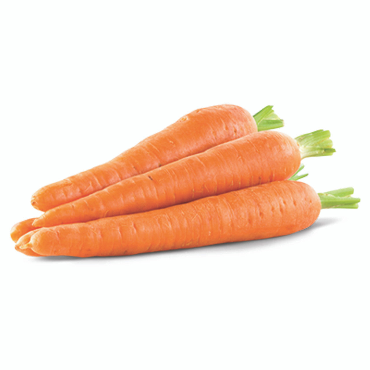 Carrot Regular Master 24x 2 lb Bag