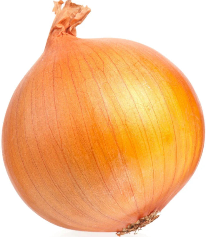 Cooking Onion Large size  50 lb Bag
