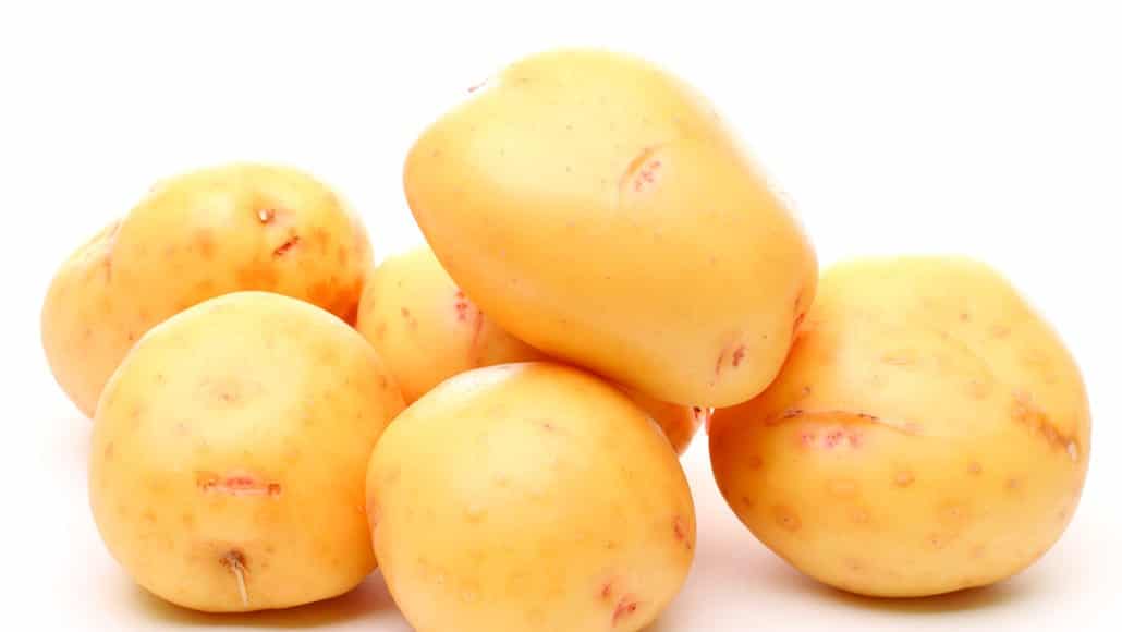 Yukon Gold Potato Large size 50lb in paper bag