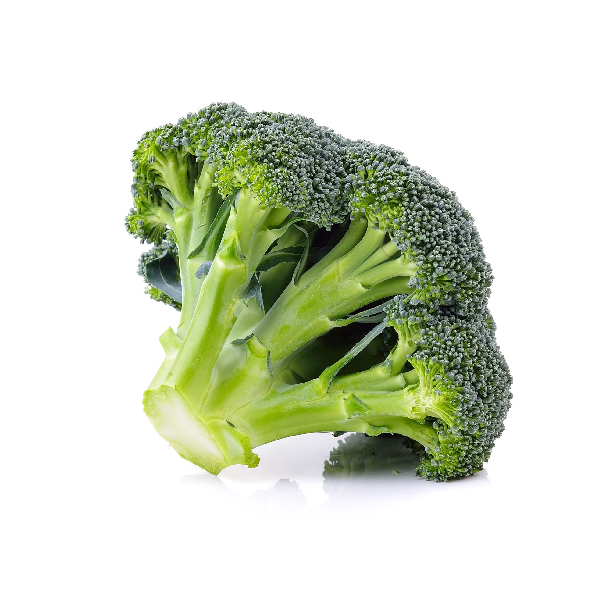 Broccoli Crown 20 lb Box