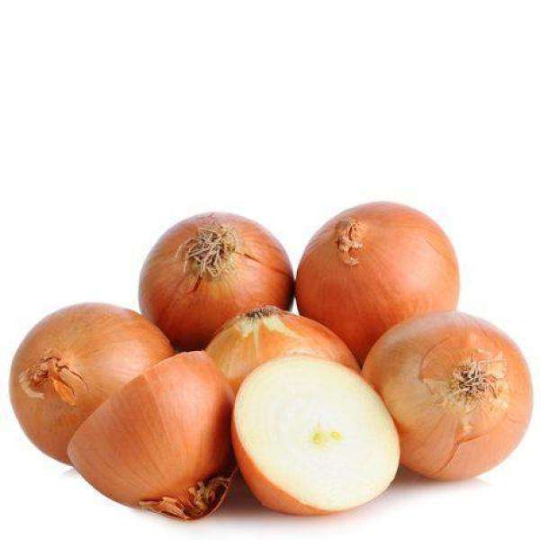 Cooking Onion Medium size 24 x 2lb bag in a carton