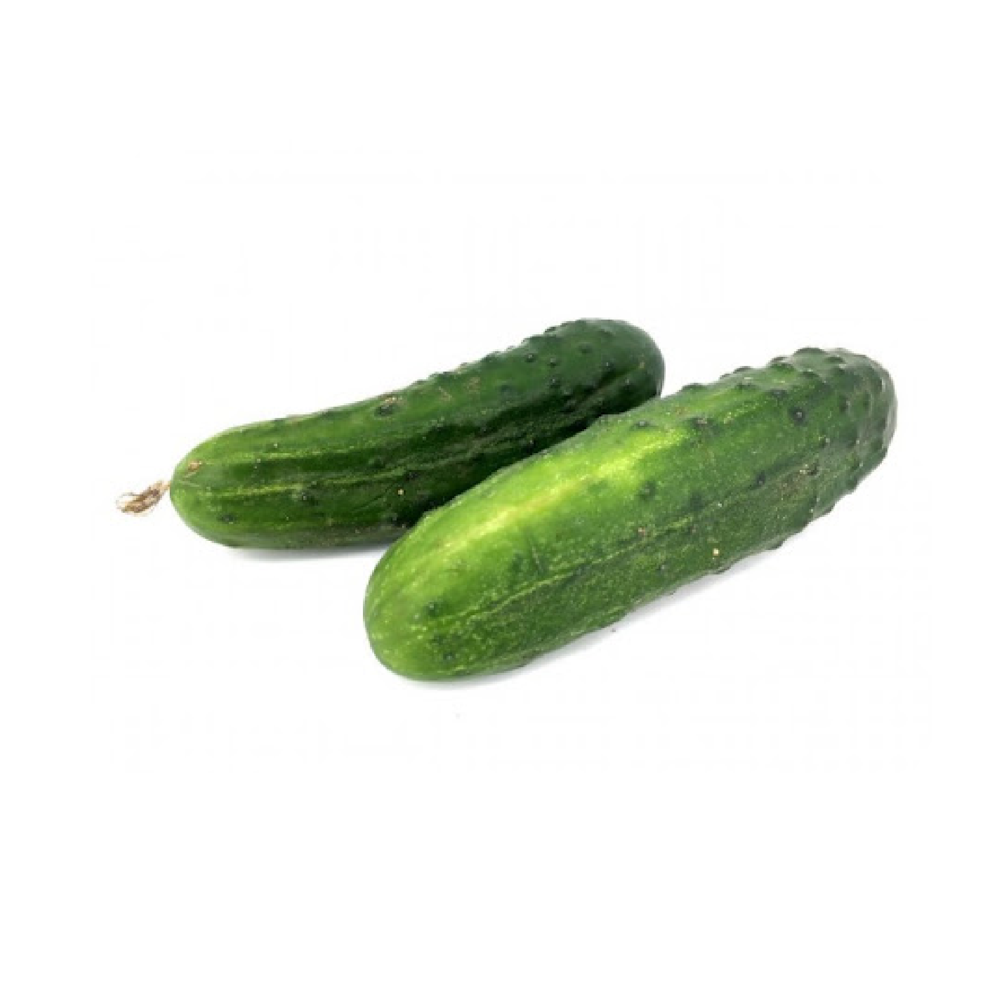 Cucumber Dili REG 20 LB box
