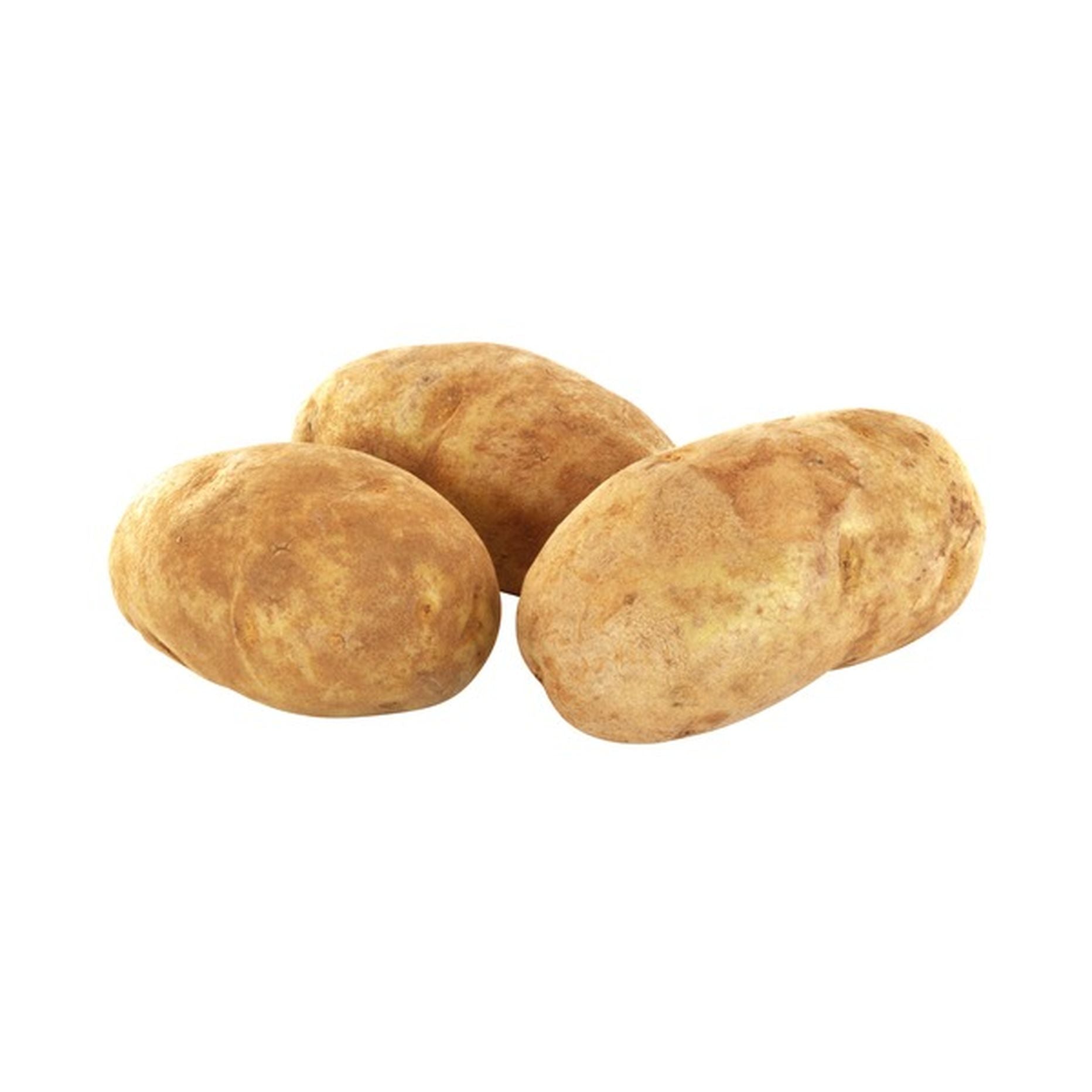 Russet Potato 100count.  50lb paper bag