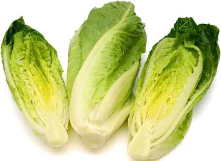 Romanie Lettuce 12x3 Cartoon