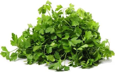 Plain Parsley 5 Dozen Carton