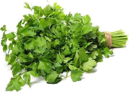 Coriander 2 Dozen Carton