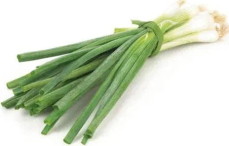 Green Onion 48 Size Carton